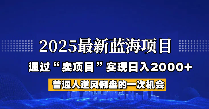 2025年蓝海项目，如何通过“网创项目”日入2000+-云推网创项目库