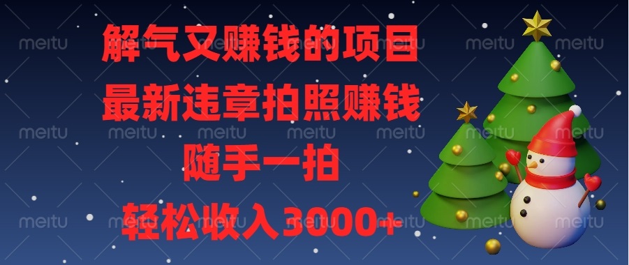 解气又赚钱的项目，最新违章拍照赚钱，随手一拍，轻松收入3000+-云推网创项目库