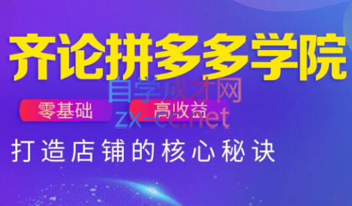 齐论拼多多vip课程-云推网创项目库