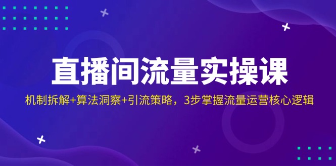 直播间流量实操课：机制拆解+算法洞察+引流策略，3步掌握流量运营核心逻辑-云推网创项目库