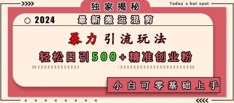 最新搬运混剪暴力引流玩法，轻松日引500+精准创业粉，小白可零基础上手-云推网创项目库