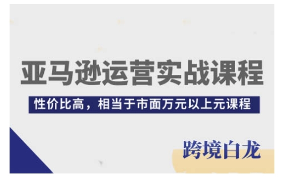 亚马逊运营实战课程，亚马逊从入门到精通，性价比高，相当于市面万元以上元课程-云推网创项目库