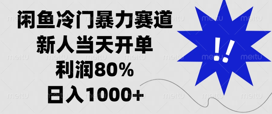 闲鱼冷门暴力赛道，新人当天开单，利润80%，日入1000+-云推网创项目库