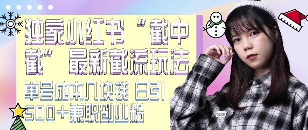 最新小红书截流玩法 独家截中截 单号成本几块钱 日引500+CY粉JZ粉-云推网创项目库