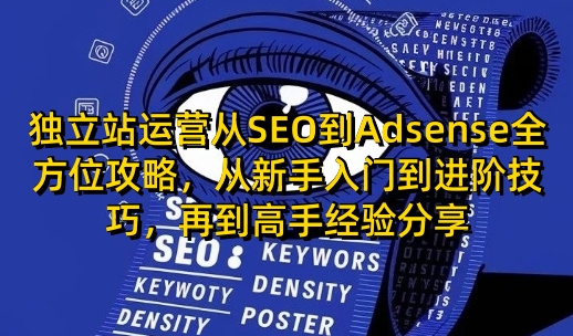 独立站运营从SEO到Adsense全方位攻略，从新手入门到进阶技巧，再到高手经验分享-云推网创项目库