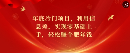 年底冷门项目，利用信息差，实现零基础上手，轻松赚个肥年钱【揭秘】-云推网创项目库