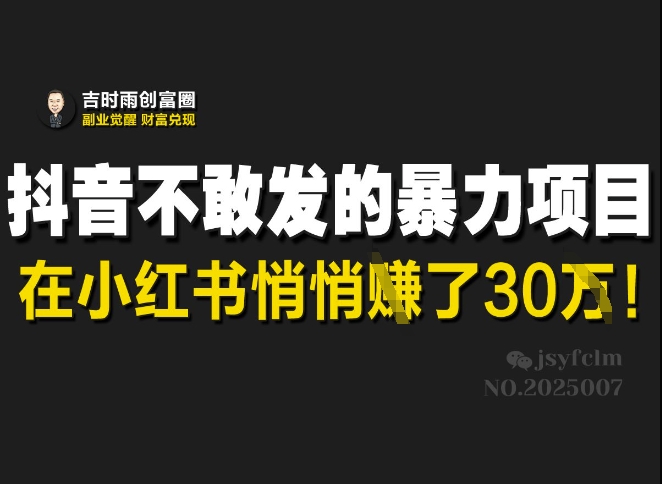 抖音不敢发的暴利项目，在小红书悄悄挣了30W-云推网创项目库