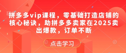 拼多多vip课程，零基础打造店铺的核心秘诀，助拼多多卖家在2025卖出爆款，订单不断-云推网创项目库
