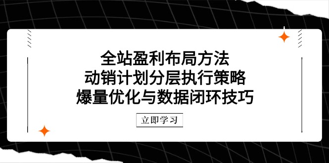全站盈利布局方法：动销计划分层执行策略，爆量优化与数据闭环技巧-云推网创项目库