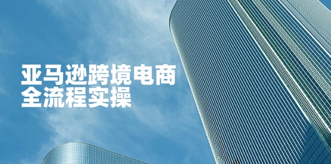 亚马逊跨境电商全流程实操，教你从零开始，掌握店铺运营与广告技巧-云推网创项目库