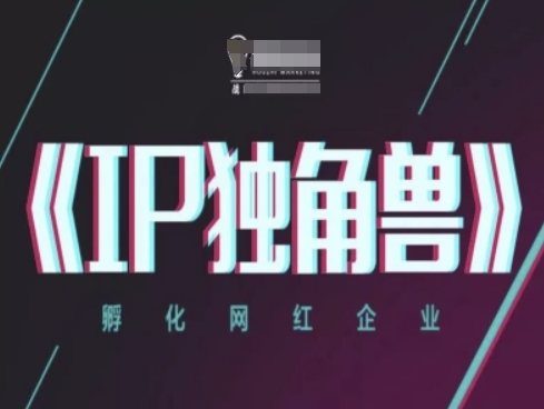 IP独角兽，孵化网红企业，ip教程-云推网创项目库