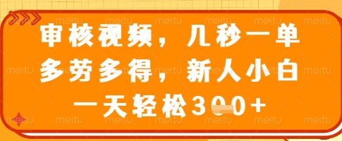 审核视频，几秒一单，多劳多得，新人小白一天轻松3张【揭秘】-云推网创项目库