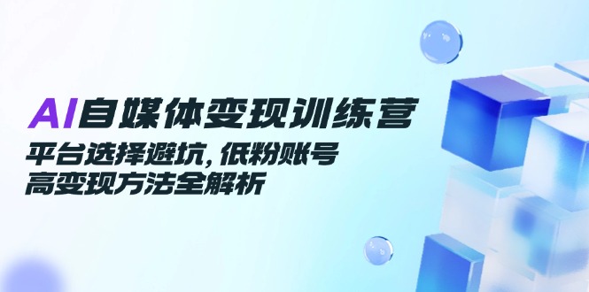 AI自媒体变现训练营，平台选择避坑，低粉账号高变现方法全解析-云推网创项目库