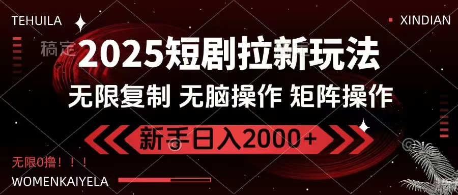 2025短剧拉新玩法，无需注册登录，无限0撸，无脑批量操作日入2000+-云推网创项目库