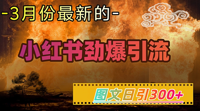 小红书超劲爆引流手段，图文日引300+轻松变现1W-云推网创项目库
