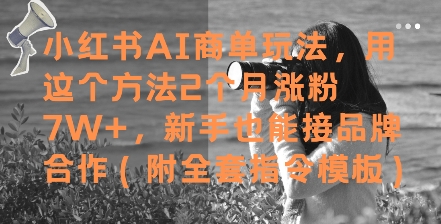 小红书AI商单玩法，用这个方法2个月涨粉7W+，新手也能接品牌合作(附全套指令模板)-云推网创项目库