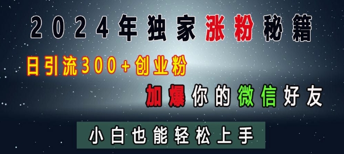 2024年独家涨粉秘籍，日引流300+创业粉，加爆你的微信好友，小白也能轻松上手-云推网创项目库