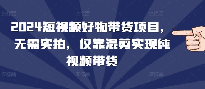 2024短视频好物带货项目，无需实拍，仅靠混剪实现纯视频带货-云推网创项目库