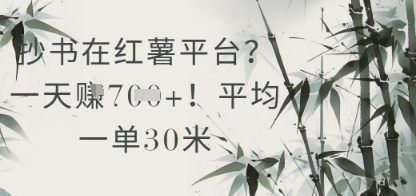 抄书在小红薯平台？平均一单30米，一天收益几张！-云推网创项目库