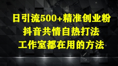 日引流500+精准创业粉，抖音共情自热打法，工作室都在用的方法-云推网创项目库