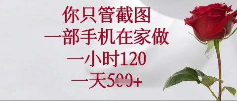 你只管截图，一部手机在家操作，一小时120.一天5张【揭秘】-云推网创项目库