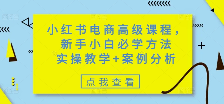 小红书电商高级课程，新手小白必学方法，实操教学+案例分析-云推网创项目库