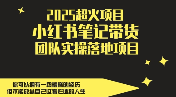 2025超火项目，副业最佳选择，小红书笔记带货团队实操落地项目，，轻松日入5张-云推网创项目库