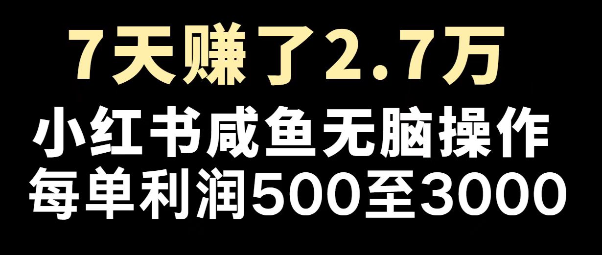 最赚钱项目之一，2025爆火，逆风翻盘！-云推网创项目库