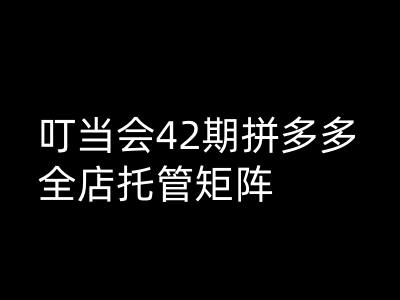 叮当会拼多多打爆班原创高阶技术第42期，拼多多全店托管矩阵-云推网创项目库