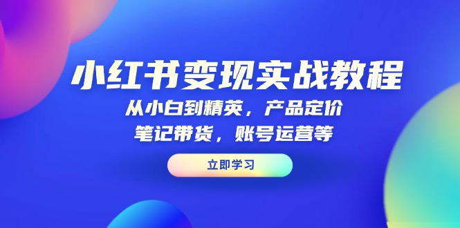 小红书变现实战教程：从小白到精英，产品定价，笔记带货，账号运营等-云推网创项目库