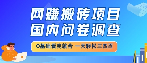 网创搬砖项目，国内问卷调查，小白轻松上手，一天三四张的也不难，干就完了【揭秘】-云推网创项目库