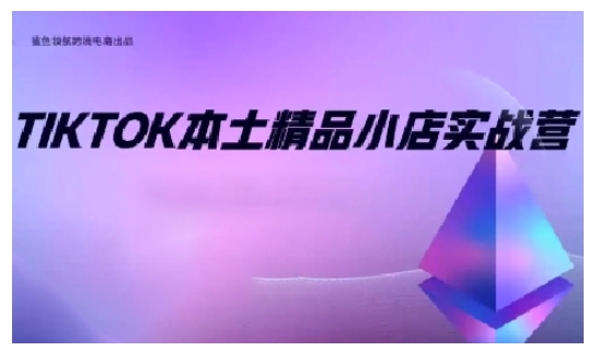 TikTok本土精品小店出海实战营，从入门到高阶，不止0-1!-云推网创项目库