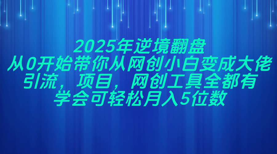 2025年逆境翻盘，从0开始带你从网创小白变成大佬，引流，项目，网创工…-云推网创项目库