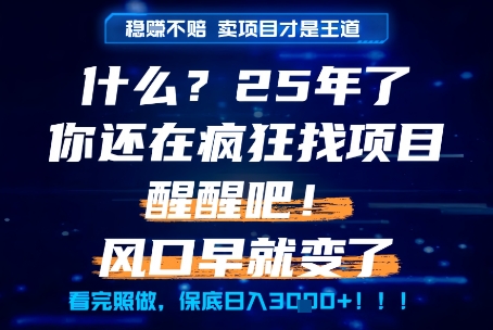 什么？25年你还在疯狂找项目做，醒醒吧，看完这些你全都懂了！【揭秘】-云推网创项目库
