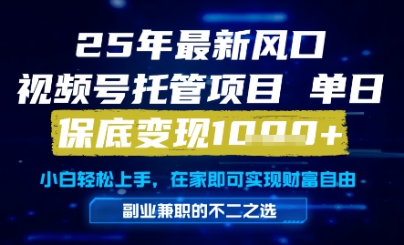 25年最新风口，视频号托管项目，单日保底变现1k+，手把手教学【揭秘】-云推网创项目库