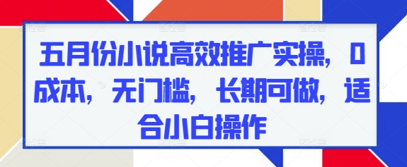 五月份小说高效推广实操，0成本，无门槛，长期可做，适合小白操作-云推网创项目库