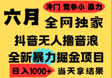 25年6月高爆抖音无人直播最新撸音浪掘金项目，小白可做，无脑日入1k+，门槛低可批量矩阵【揭秘】-云推网创项目库