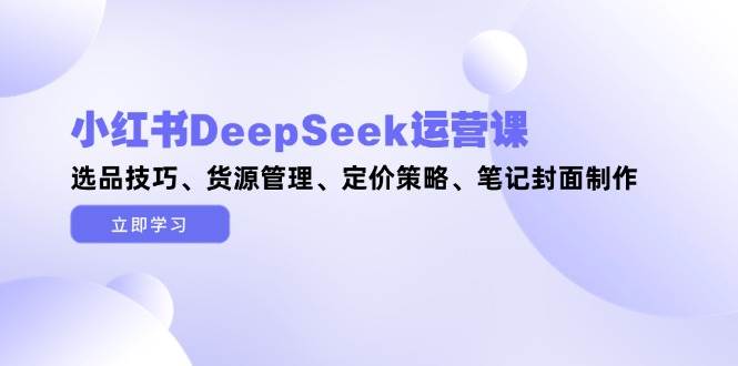 小红书DeepSeek运营课，选品技巧、货源管理、定价策略、笔记封面制作-云推网创项目库