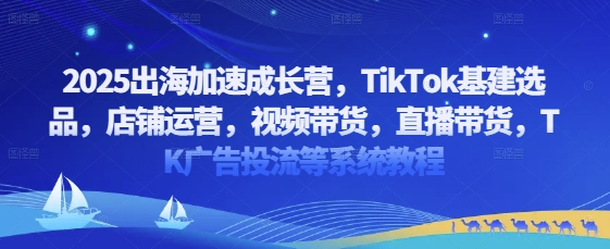 2025出海加速成长营，TikTok基建选品，店铺运营，视频带货，直播带货，TK广告投流等系统教程-云推网创项目库