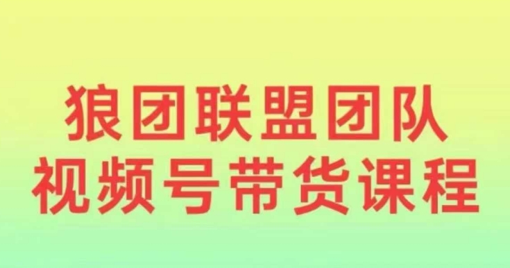 狼团联盟2024视频号带货，0基础小白快速入局视频号-云推网创项目库