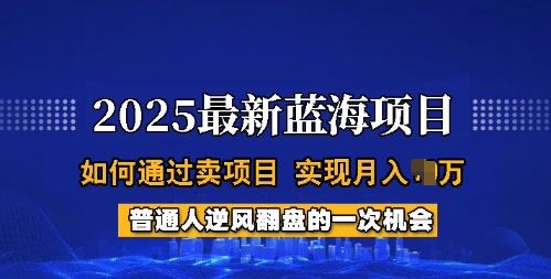 2025蓝海项目，普通人如何通过卖项目，实现月入过W，全过程【揭秘】-云推网创项目库