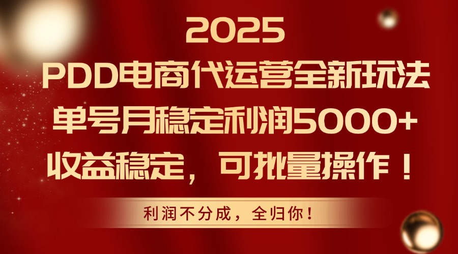 2025PDD电商代运营全新玩法，单号月稳定利润5000+，收益稳定，可批量操作-云推网创项目库