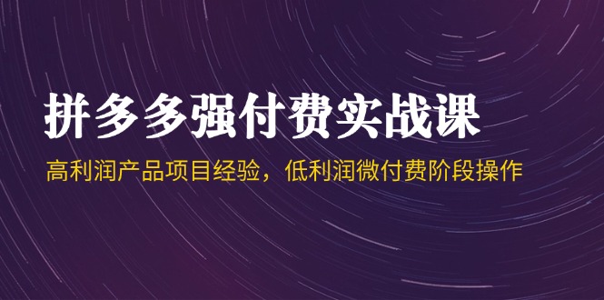 拼多多强付费实战课-44期，高利润产品项目经验，低利润微付费阶段操作-云推网创项目库