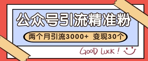 公众号精准粉引流玩法，2个月3000+精准粉，变现30个W【揭秘】-云推网创项目库