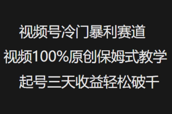 视频号冷门暴利赛道视频100%原创保姆式教学起号三天收益轻松破千-云推网创项目库