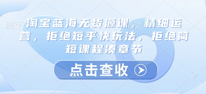 淘宝蓝海无货源课，精细运营，拒绝短平快玩法，拒绝简短课程凑章节-云推网创项目库