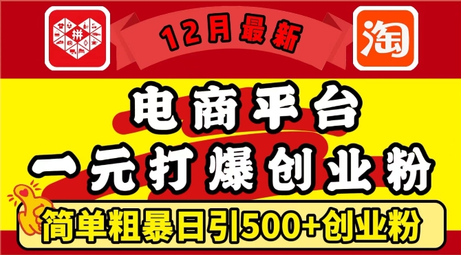 12月最新：电商平台1元打爆创业粉，简单粗暴日引500+精准创业粉，轻松月入过W【揭秘】-云推网创项目库