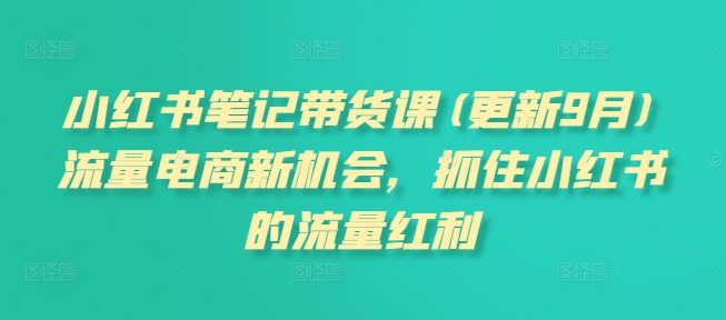 小红书笔记带货课(更新25年1月)流量电商新机会，抓住小红书的流量红利-云推网创项目库