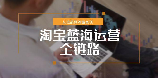 淘宝蓝海运营全链路，从选品到流量变现，小类目突围完整方案-云推网创项目库