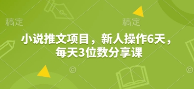 小说推文项目，新人操作6天，每天3位数分享课-云推网创项目库